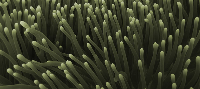 15sales-effectiveness